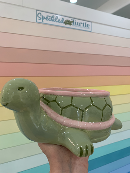 Speckled Turtle Pottery Studio + Boutique - Photo 1